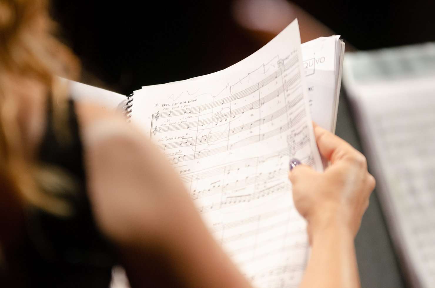 Orchestra Performance